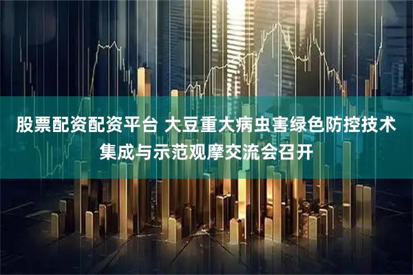股票配资配资平台 大豆重大病虫害绿色防控技术集成与示范观摩交流会召开