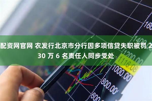配资网官网 农发行北京市分行因多项信贷失职被罚 230 万 6 名责任人同步受处