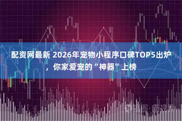 配资网最新 2026年宠物小程序口碑TOP5出炉，你家爱宠的“神器”上榜