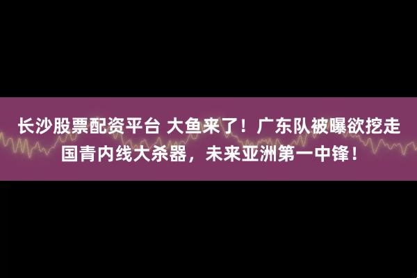 长沙股票配资平台 大鱼来了！广东队被曝欲挖走国青内线大杀器，未来亚洲第一中锋！