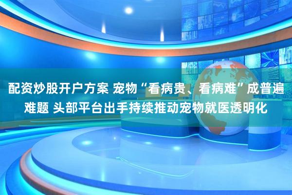 配资炒股开户方案 宠物“看病贵、看病难”成普遍难题 头部平台出手持续推动宠物就医透明化