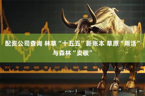 配资公司查询 林草“十五五”新账本 草原“用活”与森林“卖碳”